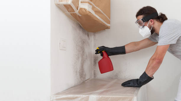 Professional Black Mold Remediation technician working in Port Jefferson Station, NY