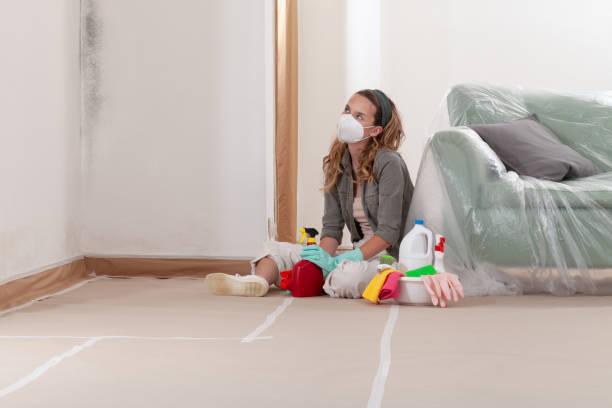 Reliable Black Mold Remediation contractor in Port Jefferson Station, NY by 24 Hour Mold Removal